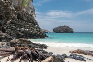 Relaks na wyspach Phi Phi – dlaczego warto?