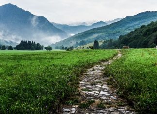 Jakim środkiem transportu pojechać?