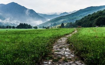 Jakim środkiem transportu pojechać?
