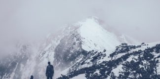 Turystyka polarna