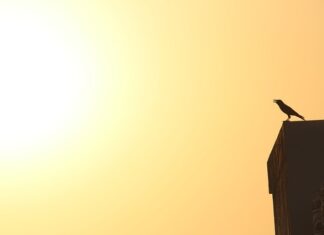 Co jest przyczyną nadmiernego pocenia się?