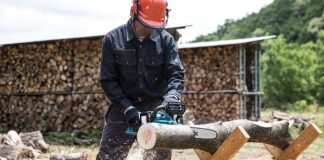 Jaka Pilarka Stihl do lasu?