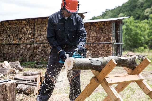 Jaka Pilarka Stihl do lasu?