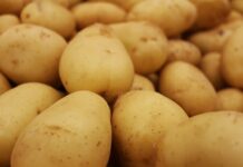 Jaka tania piłę spalinową kupić?
