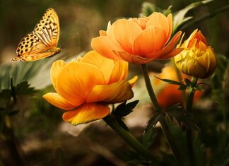 Co do mycia szyb w samochodzie?