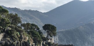 Ile kosztuje dorobienie lakieru w sprayu?