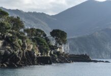 Ile kosztuje jedna rodzina pszczela?