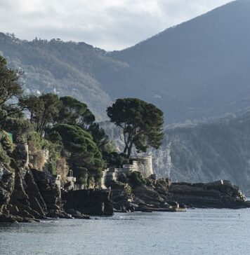 Ile kosztuje jedna rodzina pszczela?