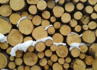 Jak pociąć bale na deski?