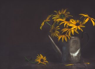 Ile płacicie za podlewanie ogrodu?