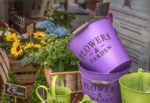 Jakie ciśnienie do podlewania ogrodu?