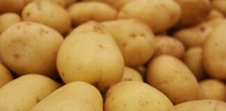 Ile dociera się piłę spalinową?