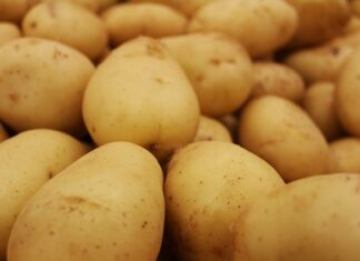 Ile dociera się piłę spalinową?