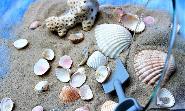 Co rośnie na piachu?