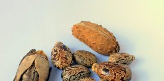 Jak sprawdzić poziom oleju w skuterze 4T?