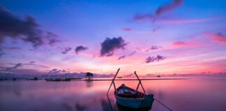 Czy kolor płynu do chłodnicy ma znaczenie?