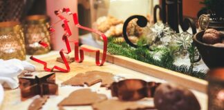 Czy pilarki NAC są dobre?