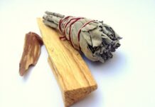 Czy Palo Santo odstrasza owady? Czy Palo Santo odstrasza owady?