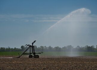 Jak zrobić system nawadniania trawnika?