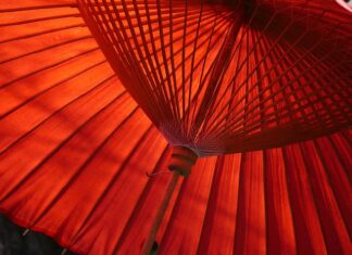 Jak zbudowany jest parasol?