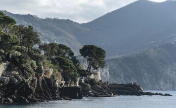 Ile kosztuje płyn do spryskiwaczy?