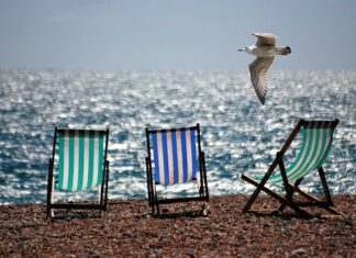 Jak zrobić leżak ogrodowy?