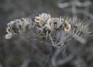 Jak zrobić stojak do książek? Jak zrobić stojak do książek?