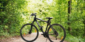 Rola piast w wydajnych kołach do roweru